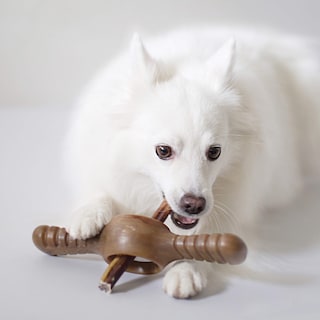 Foto 2 | Juguete Interactivo Para Dispensar Golosinas Para Perros Benebone Pawplexer - Venta Internacional.