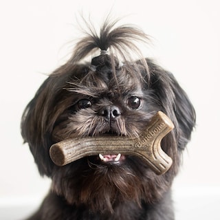 Foto 4 | Juguetes Masticables Para Perros Benebone Maplestick/zaggler, Paquete De 2 Unidades Para Perros Pequeños - Venta