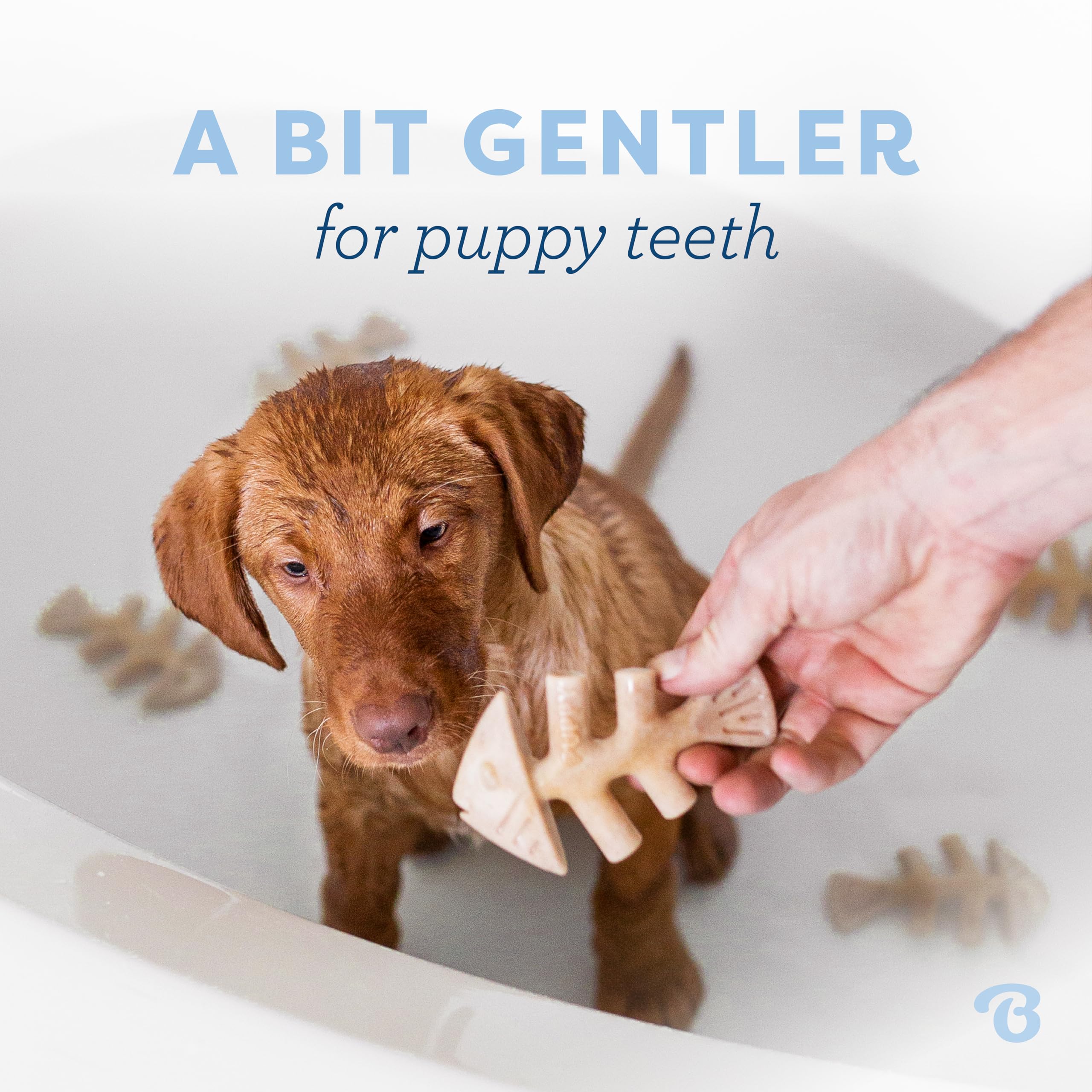 Foto 2 | Juguete Masticable Para Perros Benebone Puppy Fishbone, Más Suave Para Masticadores Modestos - Venta Internacional.
