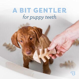 Foto 2 | Juguete Masticable Para Perros Benebone Puppy Fishbone, Más Suave Para Masticadores Modestos - Venta Internacional.