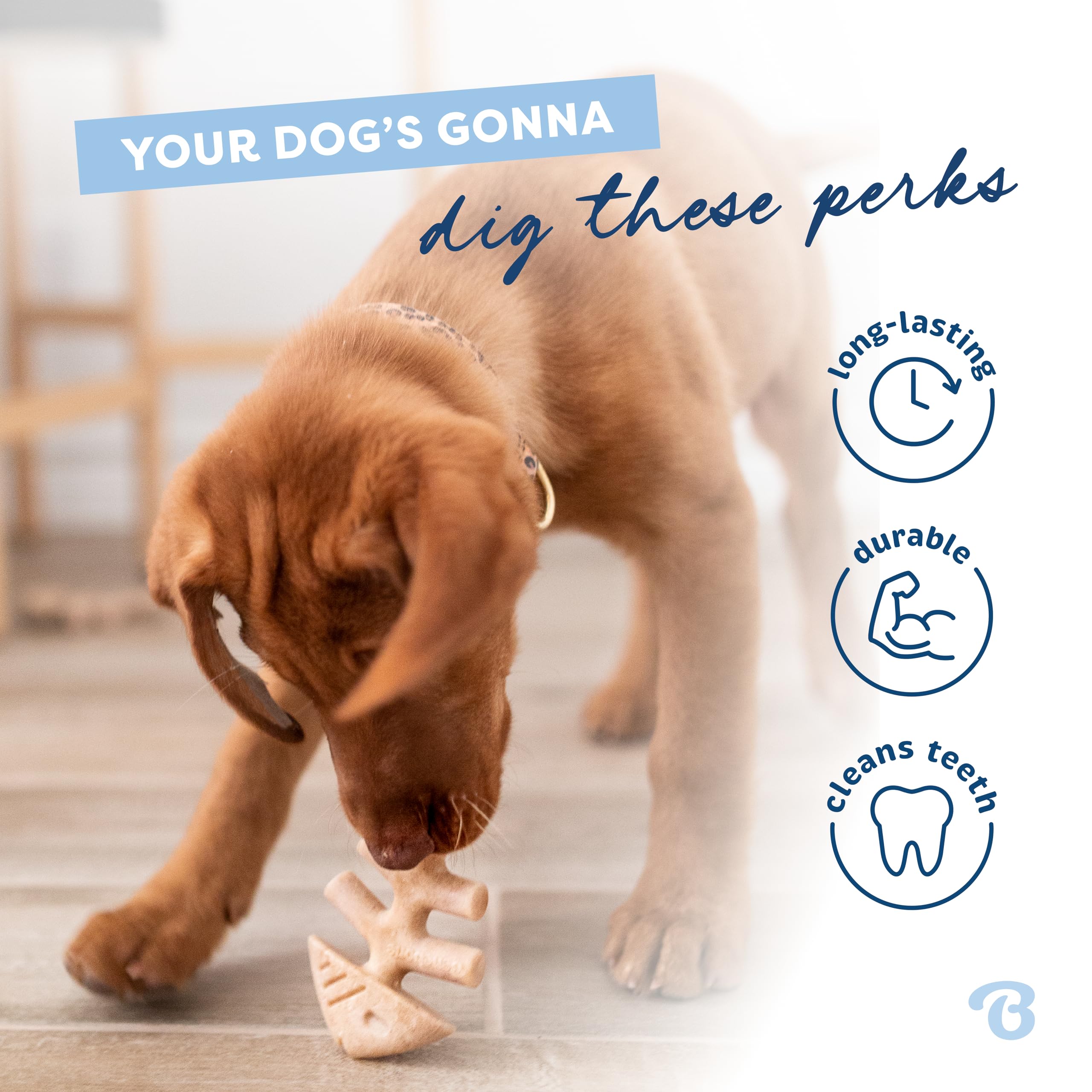 Foto 4 pulgar | Juguete Masticable Para Perros Benebone Puppy Fishbone, Más Suave Para Masticadores Modestos - Venta Internacional.
