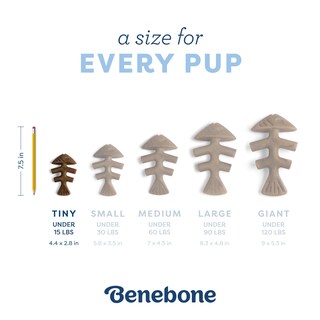 Foto 4 | Juguete Masticable Para Perros Benebone Puppy Fishbone, Más Suave Para Masticadores Modestos - Venta Internacional.