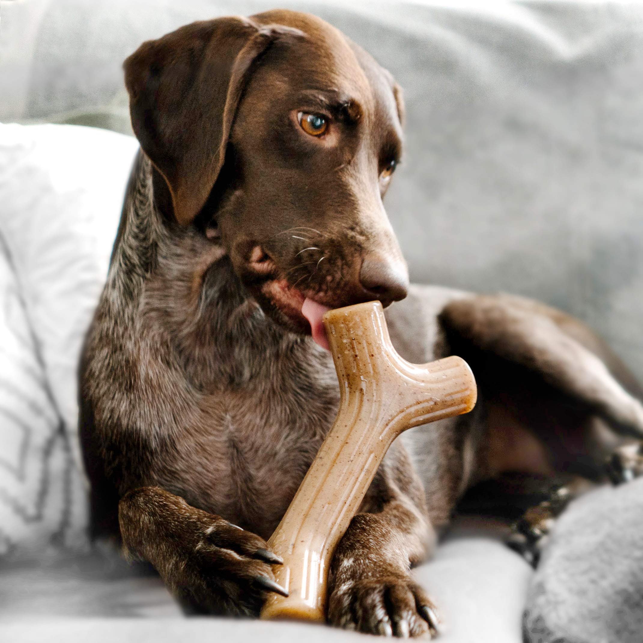 Foto 3 pulgar | Juguete Masticable Para Perros Benebone Maplestick, Duradero Para Masticadores Agresivos - Venta Internacional.