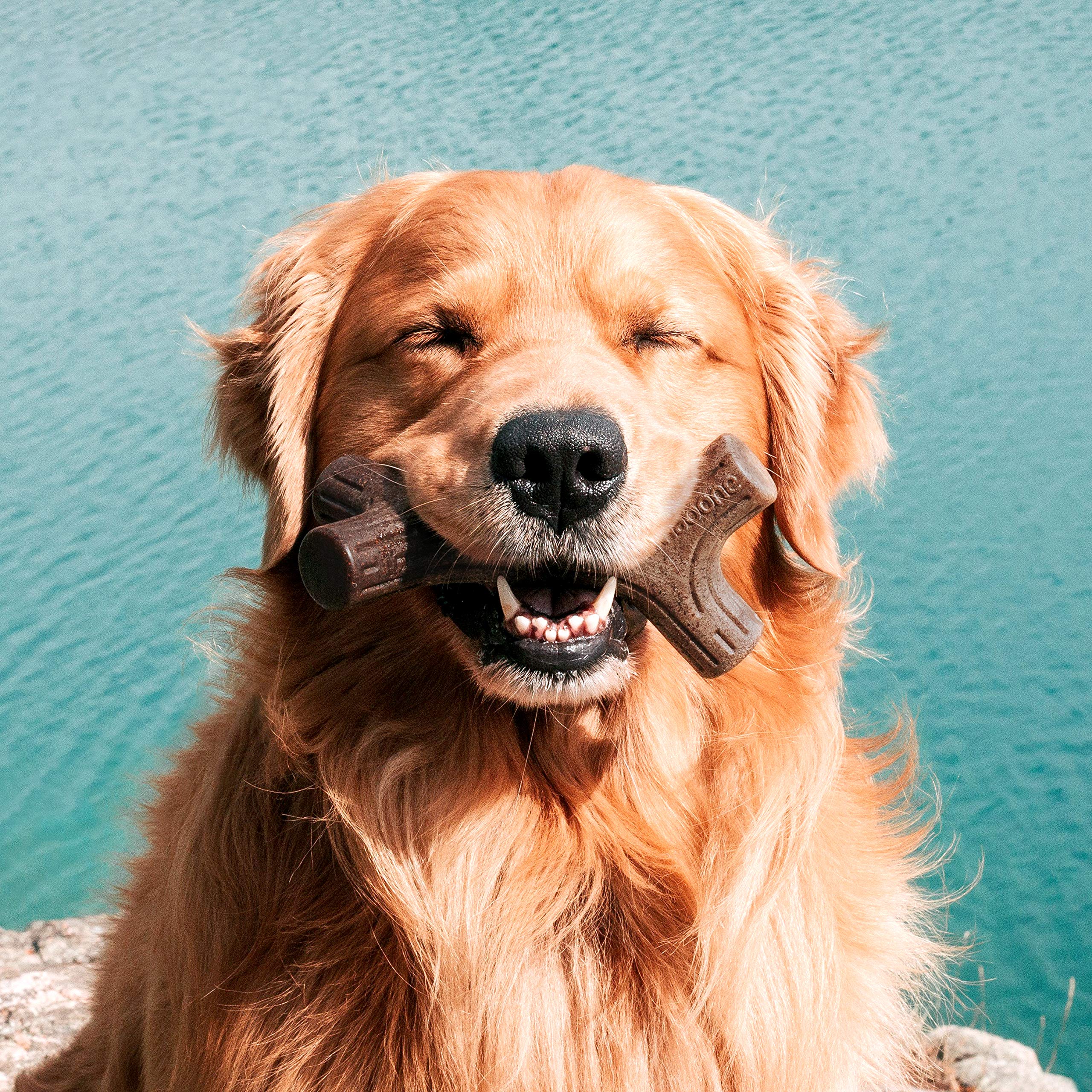 Foto 5 | Juguete Masticable Para Perros Benebone Maplestick, Duradero Para Masticadores Agresivos - Venta Internacional.