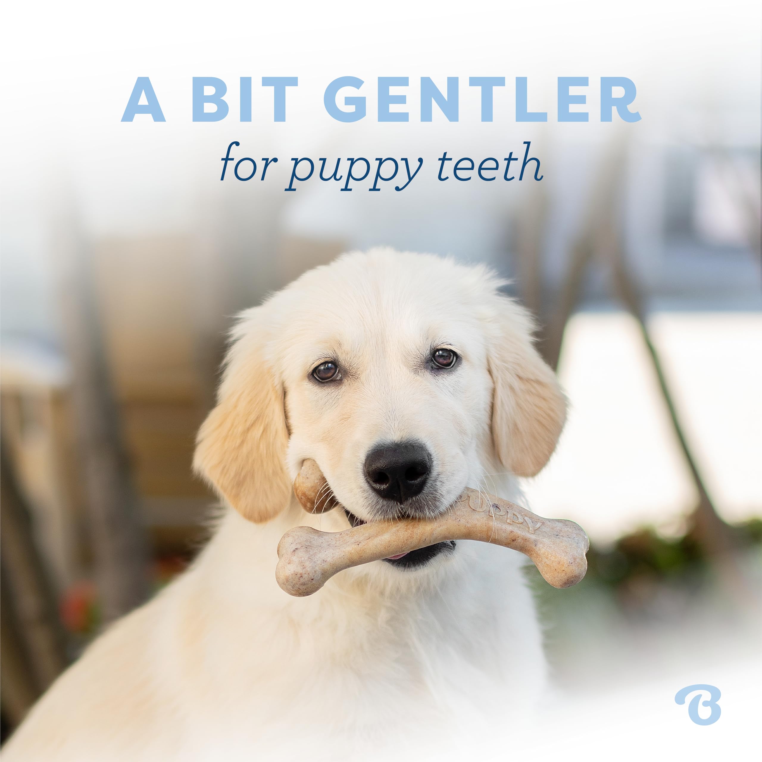 Foto 2 | Juguete Masticable Para Perros Benebone Puppy Wishbone, Duradero, Tocino Auténtico - Venta Internacional.
