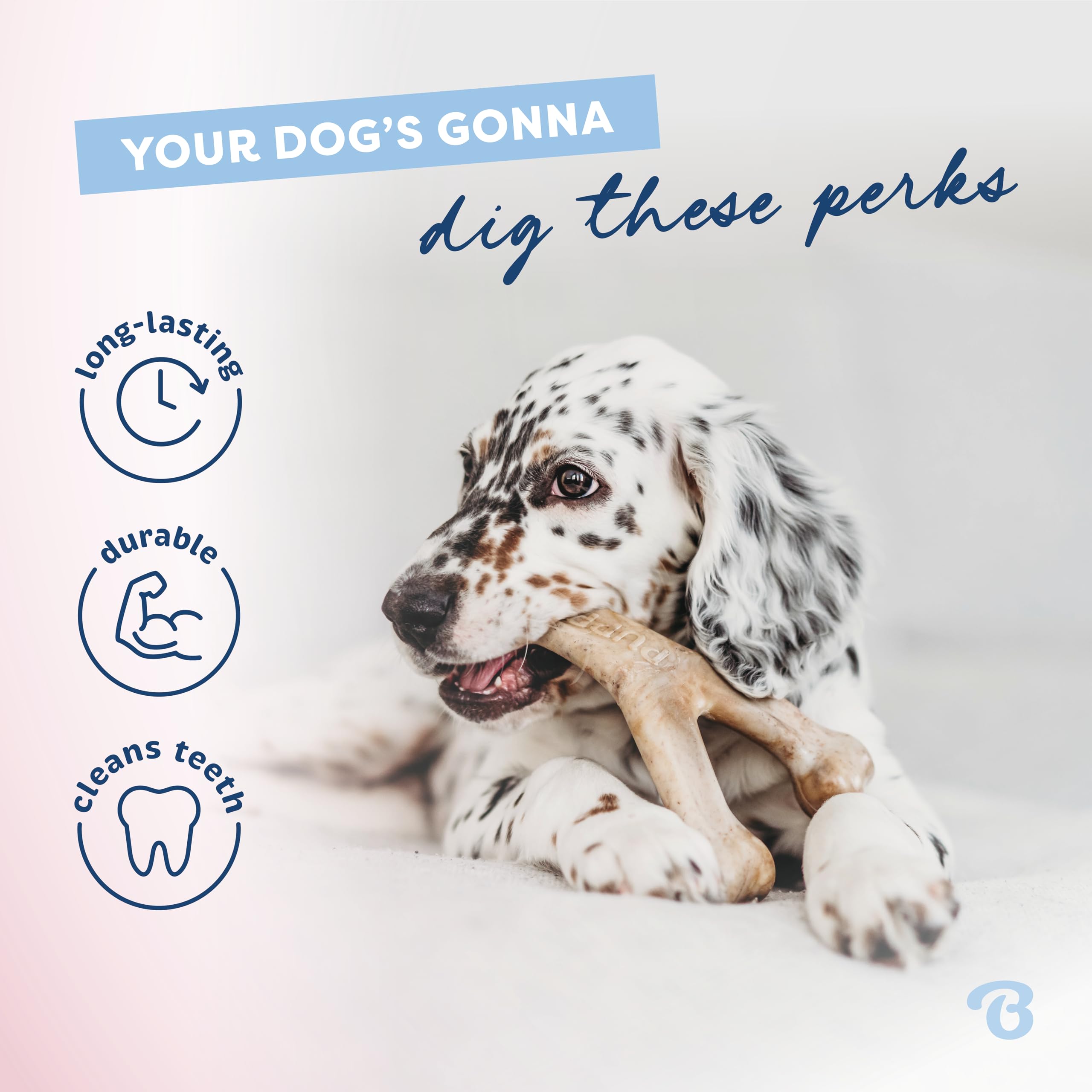 Foto 4 pulgar | Juguete Masticable Para Perros Benebone Puppy Wishbone, Duradero, Tocino Auténtico - Venta Internacional.
