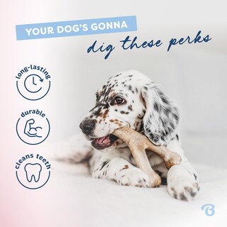 Foto 3 | Juguete Masticable Para Perros Benebone Puppy Wishbone, Duradero, Tocino Auténtico - Venta Internacional.
