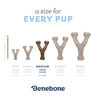 Foto 4 | Juguete Masticable Para Perros Benebone Puppy Wishbone, Duradero, Tocino Auténtico - Venta Internacional.