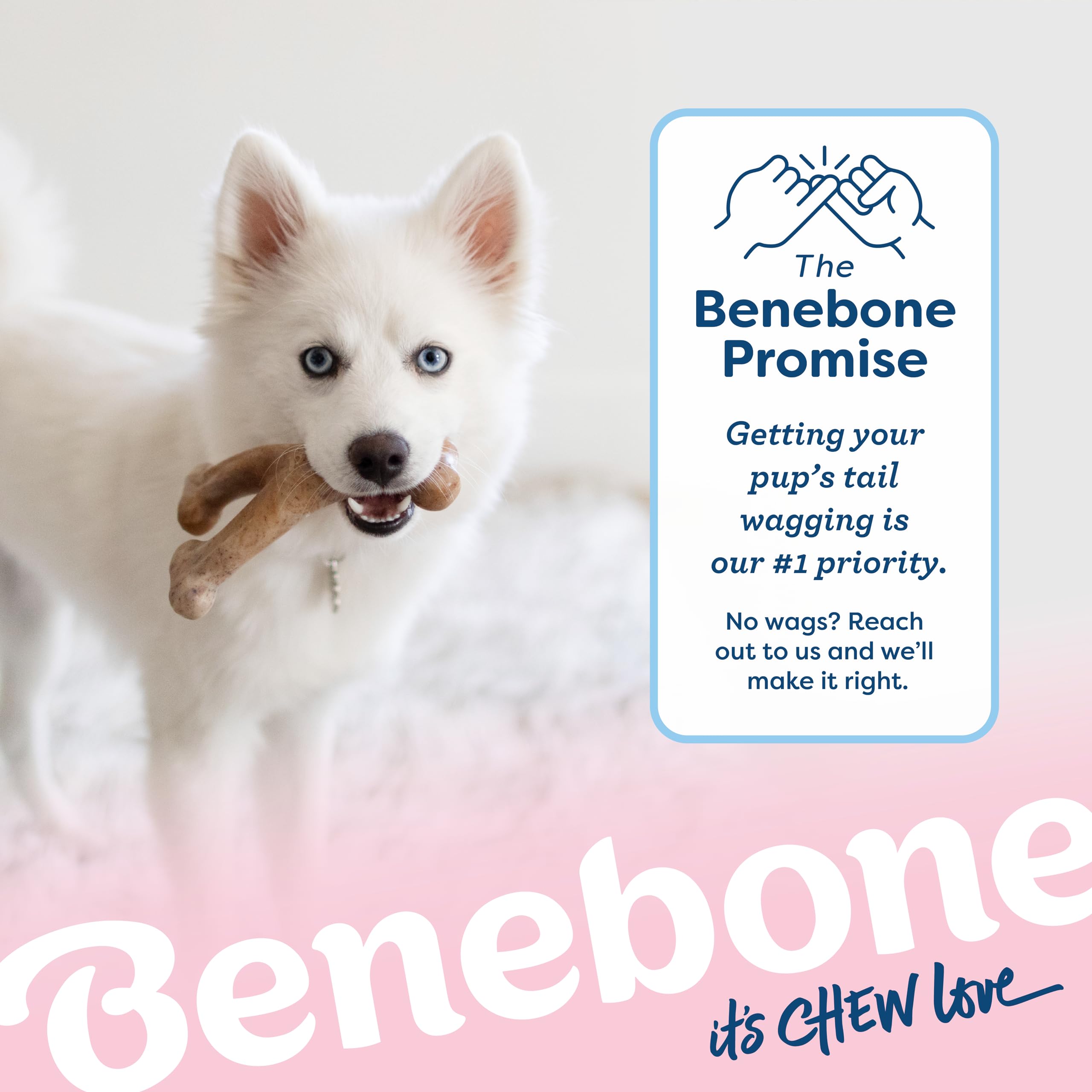 Foto 7 pulgar | Juguete Masticable Para Perros Benebone Puppy Wishbone, Duradero, Tocino Auténtico - Venta Internacional.