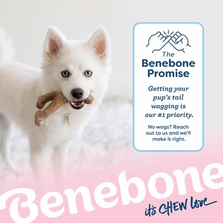 Foto 6 | Juguete Masticable Para Perros Benebone Puppy Wishbone, Duradero, Tocino Auténtico - Venta Internacional.
