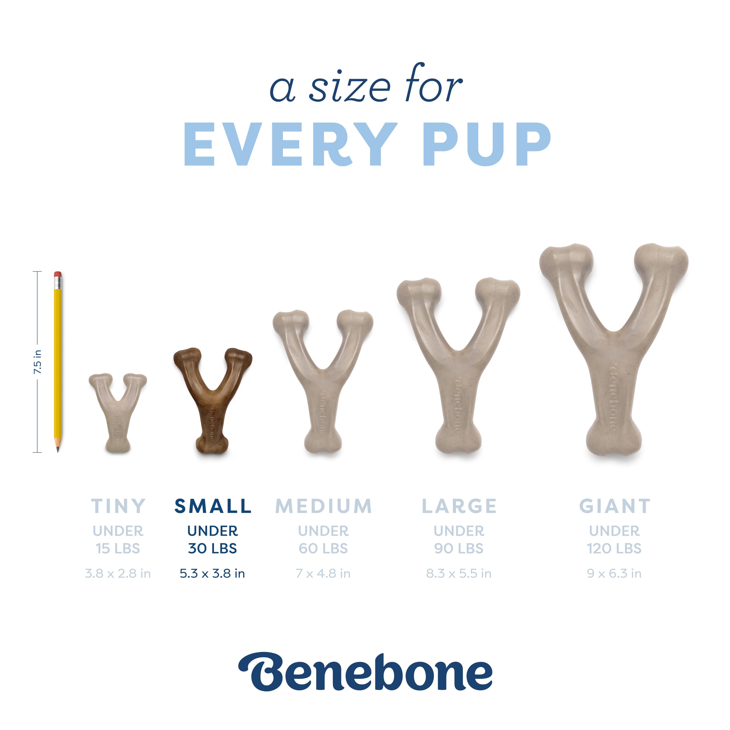 Foto 4 | Juguete Masticable Para Perros Benebone Puppy Wishbone Con Sabor A Tocino Real - Venta Internacional.