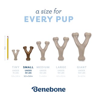 Foto 4 | Juguete Masticable Para Perros Benebone Puppy Wishbone Con Sabor A Tocino Real - Venta Internacional.
