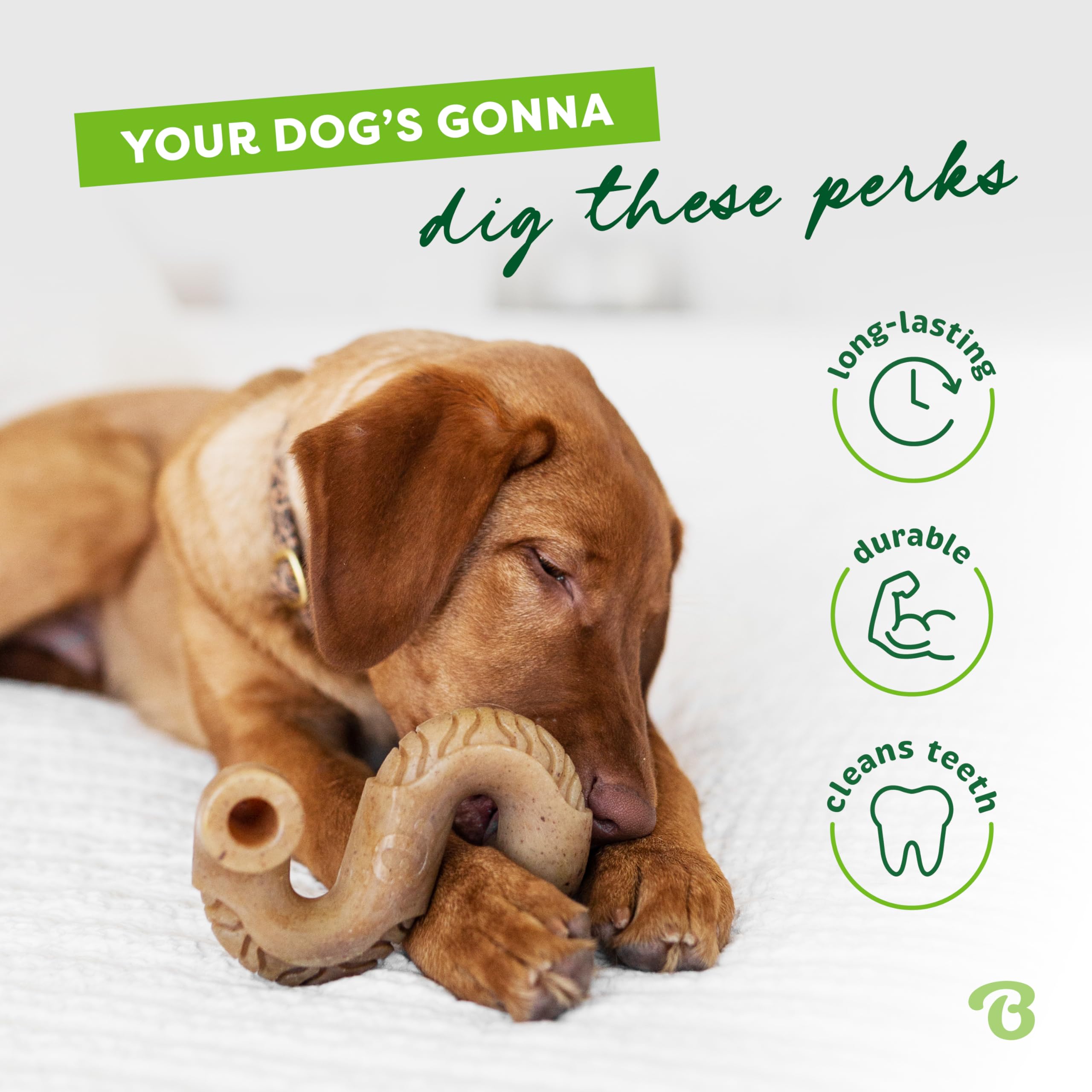 Foto 3 | Juguete Masticable Para Perros Benebone Tripe Bone Duradero Para Masticadores Agresivos - Venta Internacional.