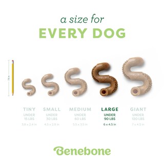 Foto 4 | Juguete Masticable Para Perros Benebone Tripe Bone Duradero Para Masticadores Agresivos - Venta Internacional.