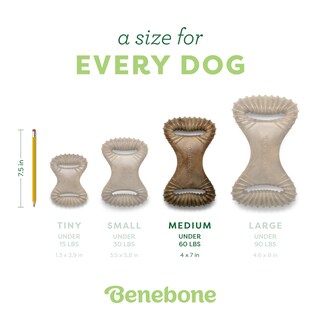 Foto 4 | Juguete Masticable Para Perros Benebone Dental Duradero Para Masticadores Agresivos - Venta Internacional.