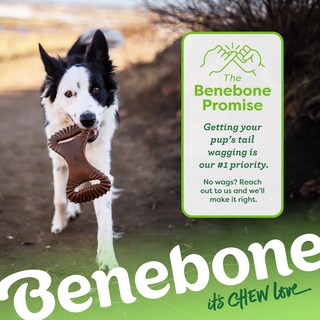 Foto 6 | Juguete Masticable Para Perros Benebone Dental Duradero Para Masticadores Agresivos - Venta Internacional.