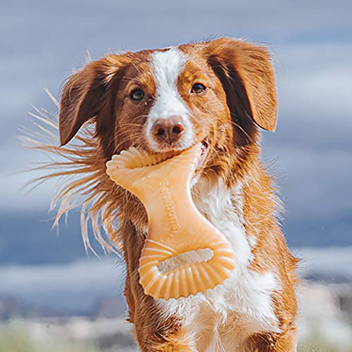 Foto 5 | Juguete Masticable Para Perros Benebone Dental Duradero Para Masticadores Agresivos - Venta Internacional.