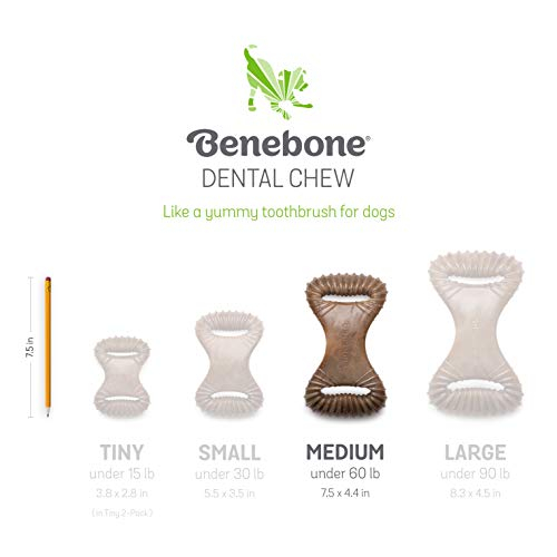 Foto 6 | Juguete Masticable Para Perros Benebone Dental Duradero Para Masticadores Agresivos - Venta Internacional.