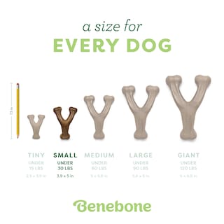 Foto 4 | Juguete Masticable Para Perros Benebone Wishbone, Duradero Para Masticadores Agresivos - Venta Internacional.