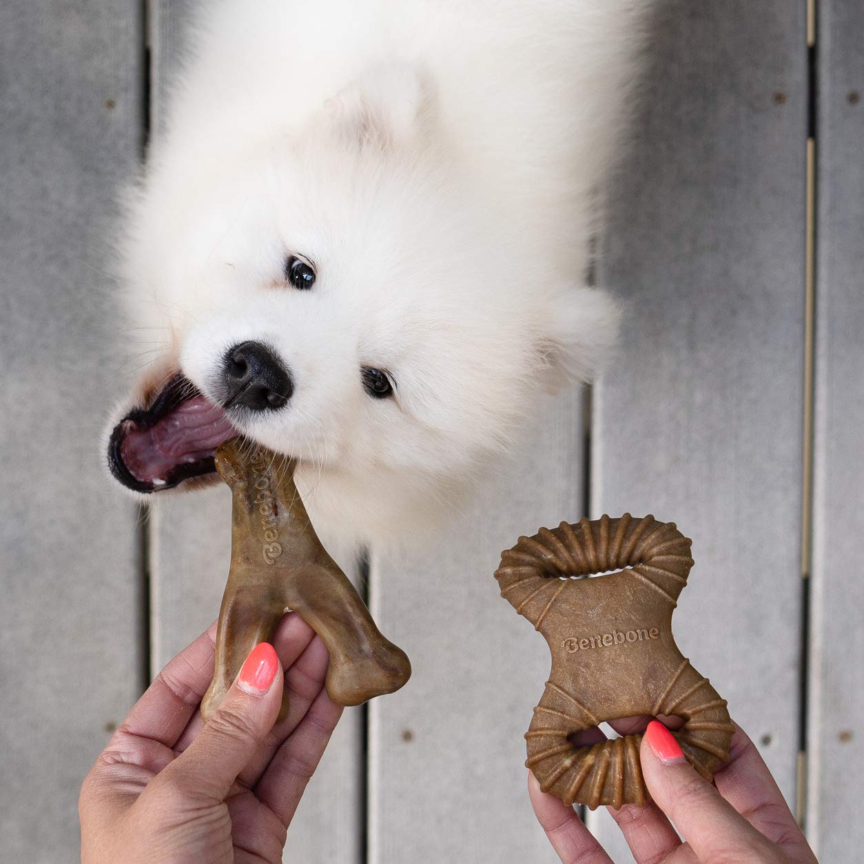 Foto 2 | Juguetes Masticables Para Perros Benebone Tiny, Paquete De 2 Unidades, Sabor A Tocino Real - Venta Internacional.