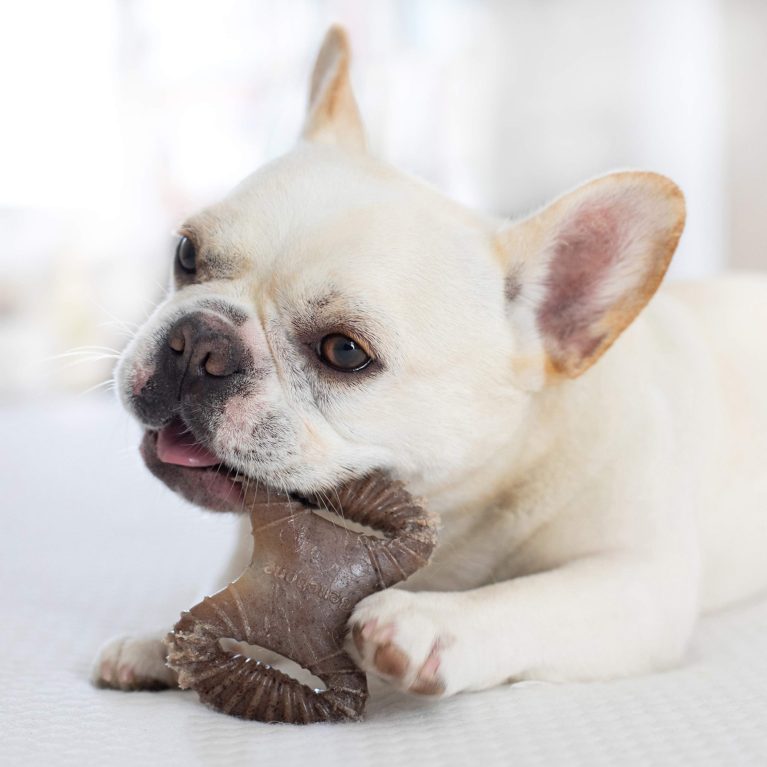 Foto 5 pulgar | Juguetes Masticables Para Perros Benebone Tiny, Paquete De 2 Unidades, Sabor A Tocino Real - Venta Internacional.