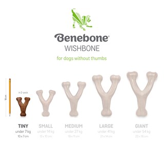 Foto 6 | Juguetes Masticables Para Perros Benebone Tiny, Paquete De 2 Unidades, Sabor A Tocino Real - Venta Internacional.