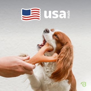 Foto 5 | Juguete Masticable Para Perros Benebone Wishbone, Duradero Para Masticadores Agresivos - Venta Internacional.