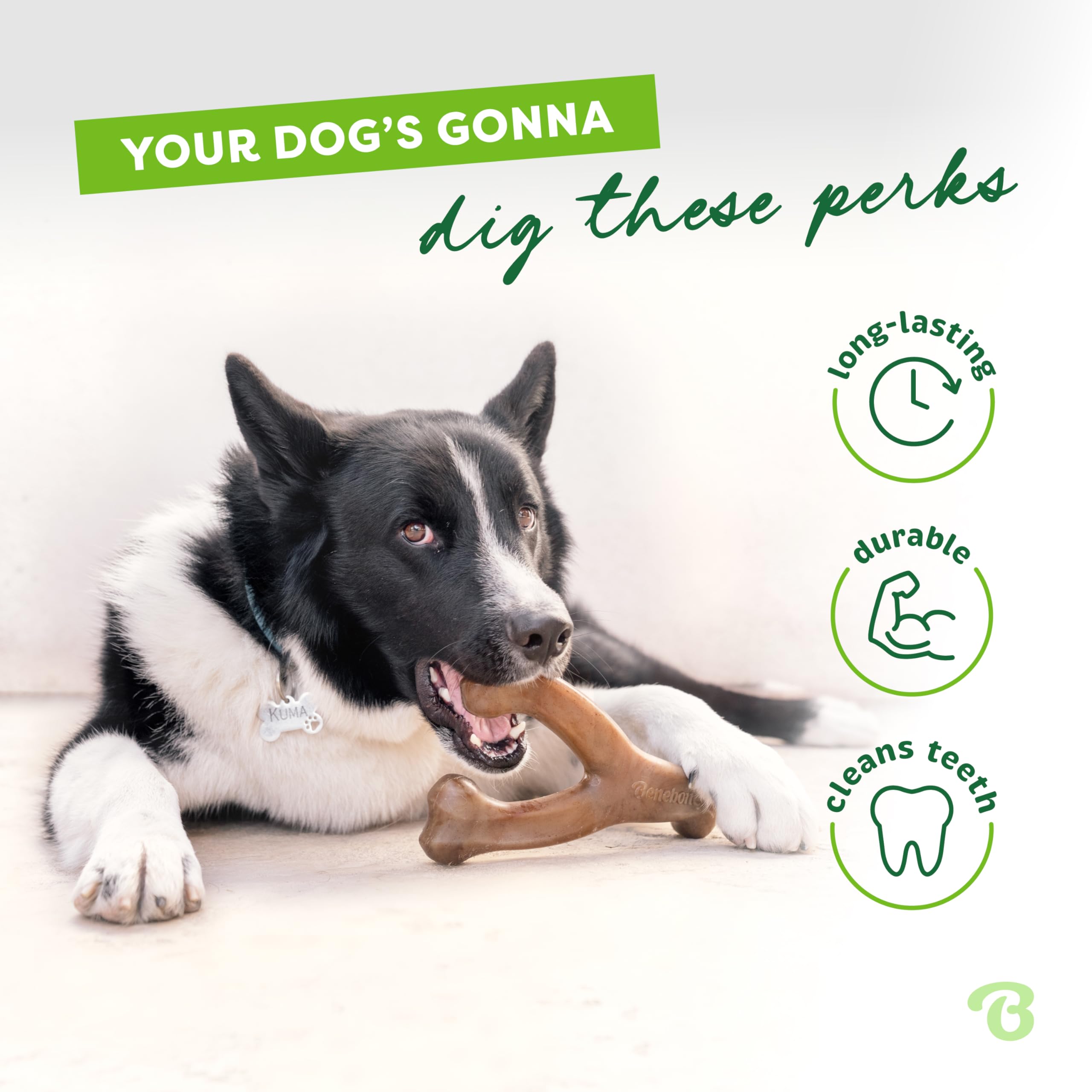 Foto 4 pulgar | Juguete Masticable Para Perros Benebone Wishbone, Duradero Para Masticadores Agresivos - Venta Internacional.