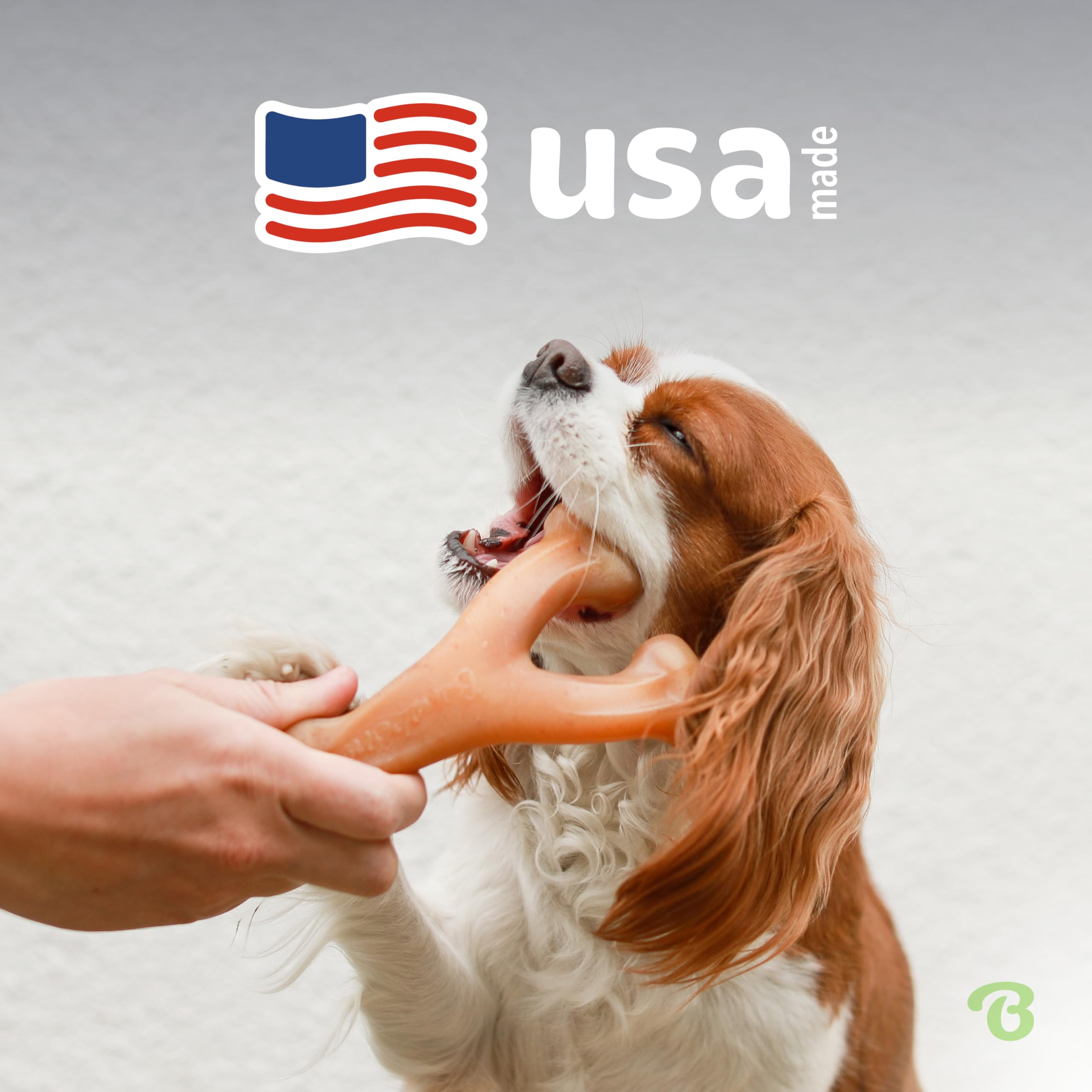 Foto 6 pulgar | Juguete Masticable Para Perros Benebone Wishbone, Duradero Para Masticadores Agresivos - Venta Internacional.