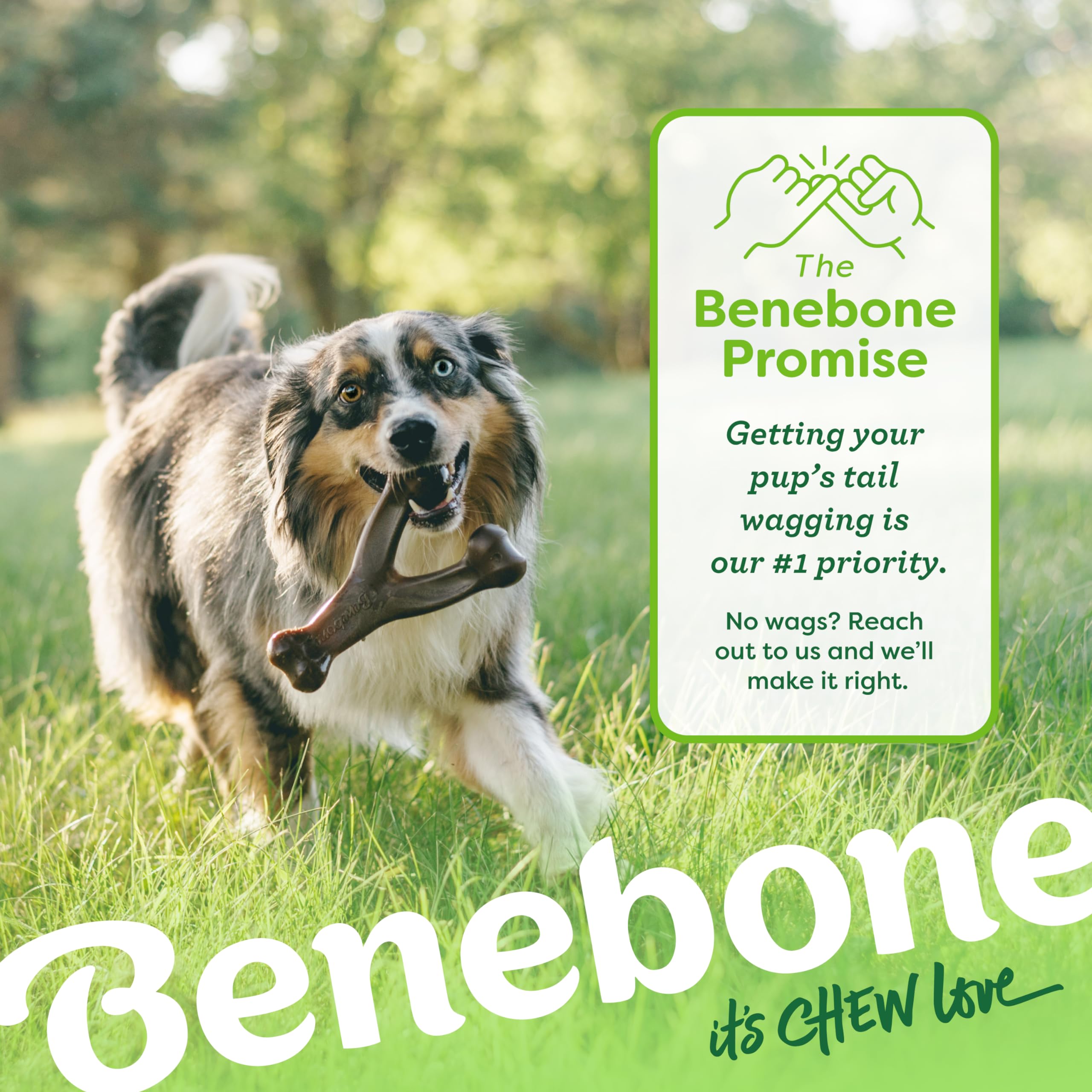 Foto 6 | Juguete Masticable Para Perros Benebone Wishbone, Duradero Para Masticadores Agresivos - Venta Internacional.