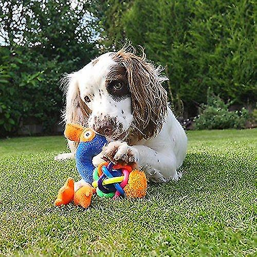 Foto 4 pulgar | Juguete Para Perros Huoguo Tough Multitextura Flamingo Para Perros Pequeños - Venta Internacional.