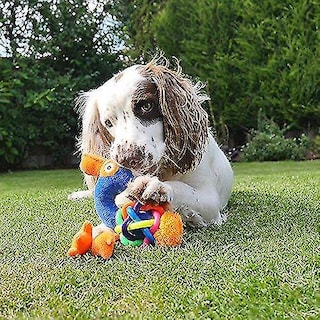 Foto 3 | Juguete Para Perros Huoguo Tough Multitextura Flamingo Para Perros Pequeños - Venta Internacional.
