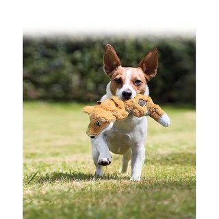 Foto 2 | Juguete Para Perros Huoguo Scrunch Knots Squirrel, Tamaño Mediano/grande - Venta Internacional.