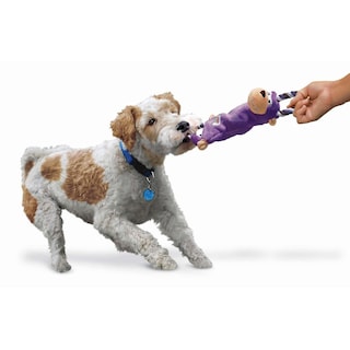 Foto 4 | Juguete Para Perros Huoguo Tugger Knots Frog, Tamaño Pequeño/mediano, Interactivo - Venta Internacional.