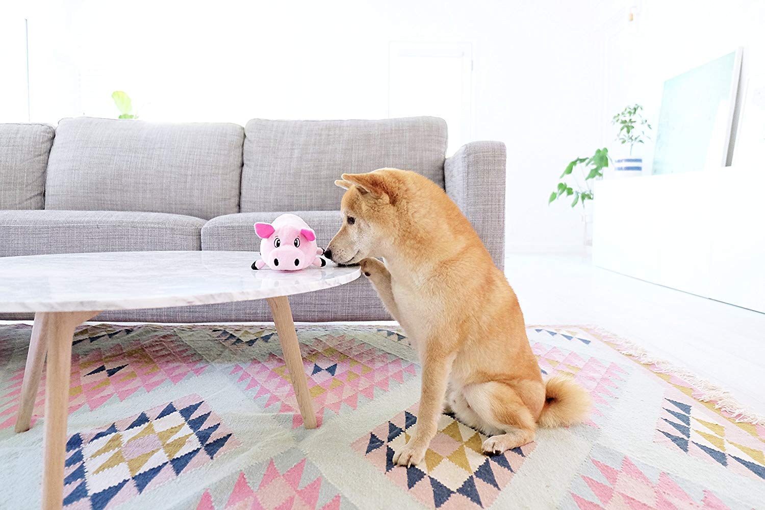Foto 4 pulgar | Juguete De Peluche Para Perros Outward Hound Fattiez Pig, Pequeño - Venta Internacional.