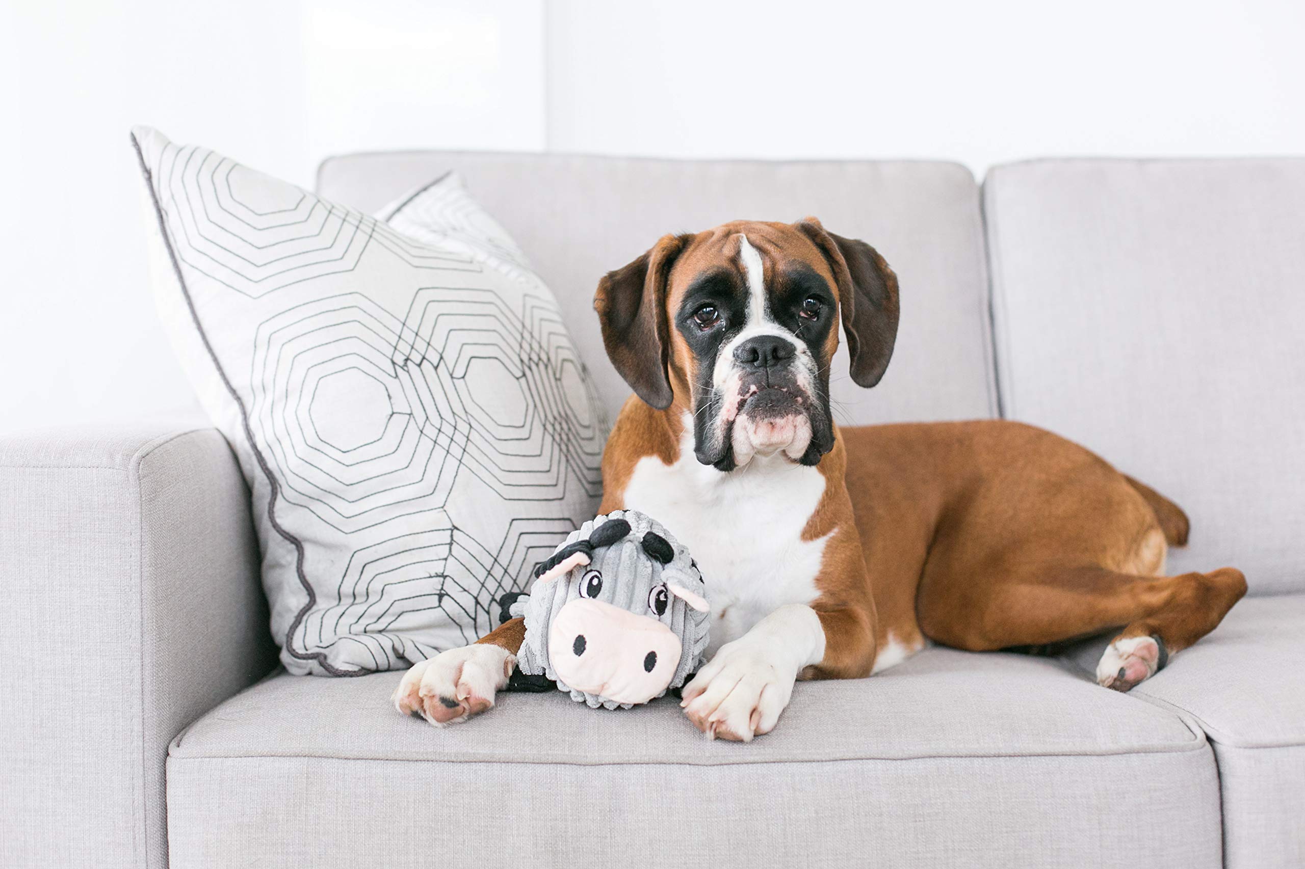 Foto 4 | Juguete De Peluche Para Perros Outward Hound Fattiez Pig, Pequeño - Venta Internacional.