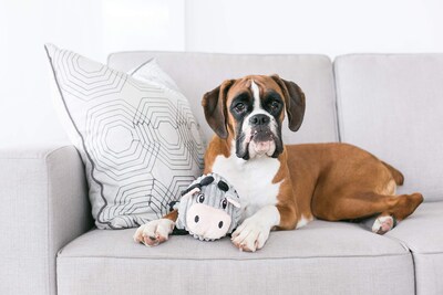 Foto 4 | Juguete De Peluche Para Perros Outward Hound Fattiez Pig, Pequeño - Venta Internacional.