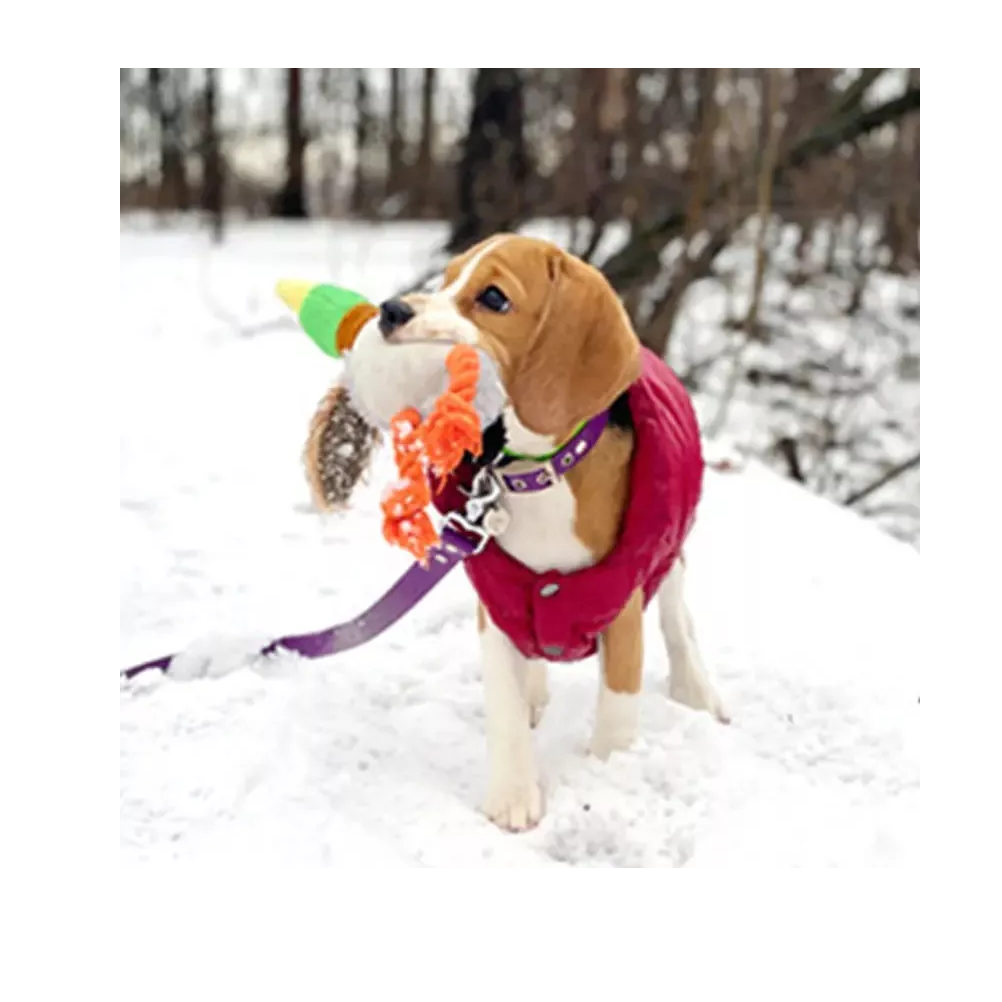 Foto 5 pulgar | Peluche de Pato para Perro con Sonido