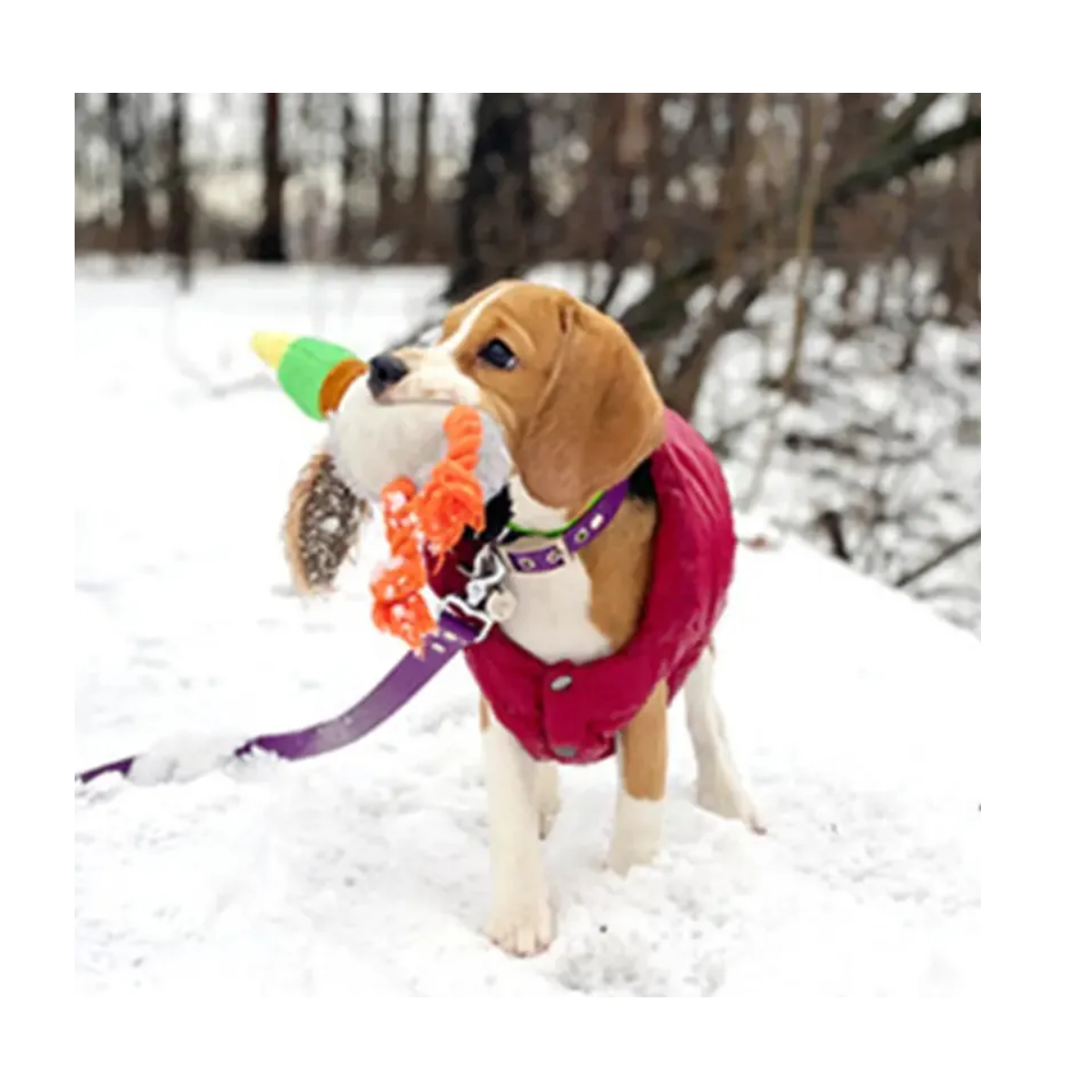 Foto 5 pulgar | Peluches Para Perros Juguetes Para Mascota Pato Eo Safe Imports Esi-19560 Multicolor