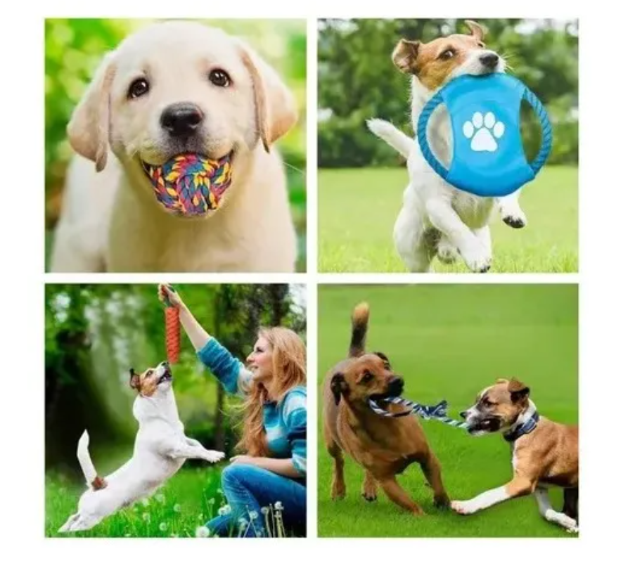 Foto 3 pulgar | Kit De 18 Piezas Juguete Xtellar De Cuerda Para Perro