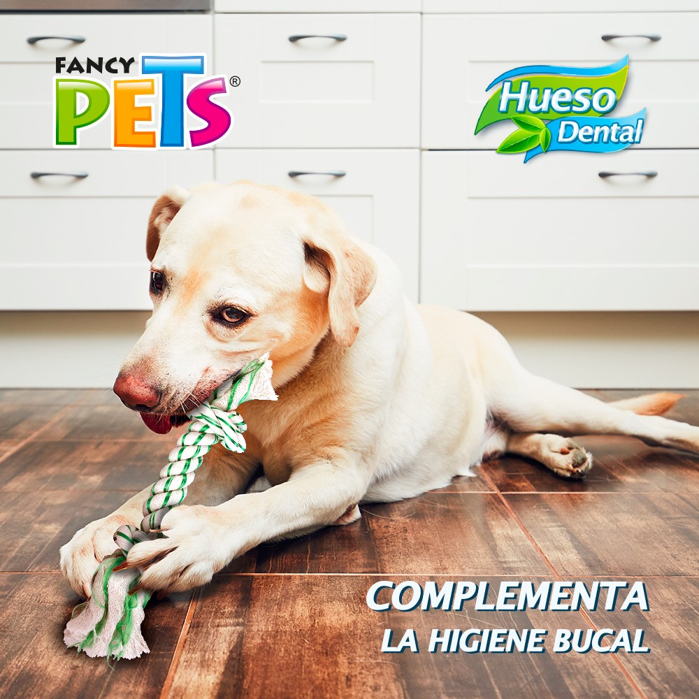 Foto 3 pulgar | Juguete para Perro Fancy Pets Hueso de Hilo Dental Sabor Menta