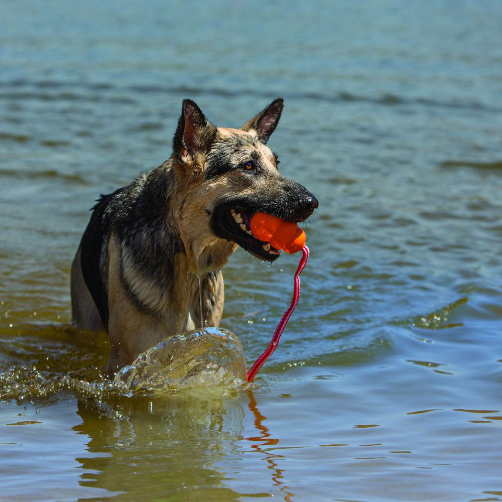 Foto 3 pulgar | Juguete Kong para Perro Agua Caucho Flotante Mediano Naranja