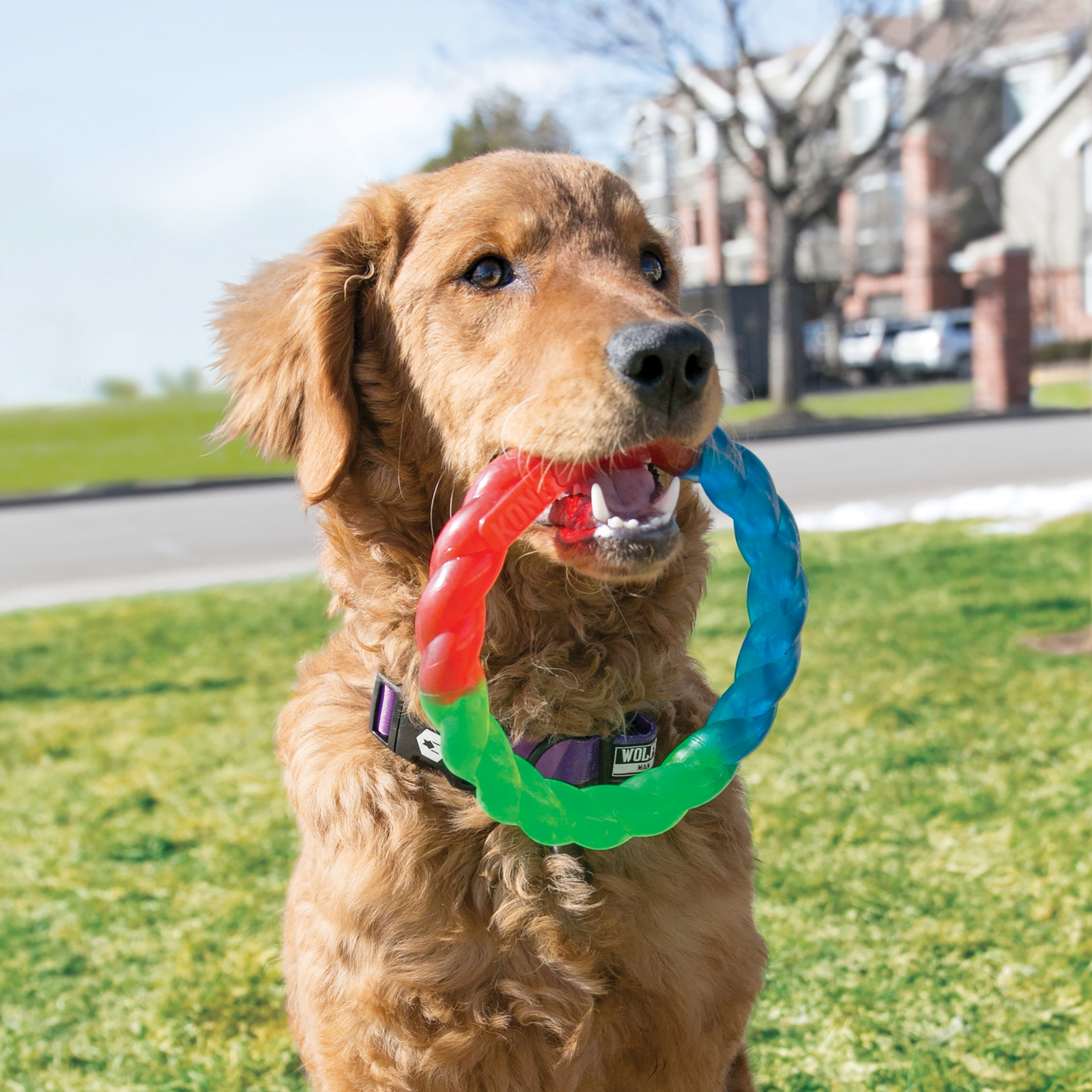 Foto 3 | Anillo Flexible Kong Twistz Grande Multicolor para Perro