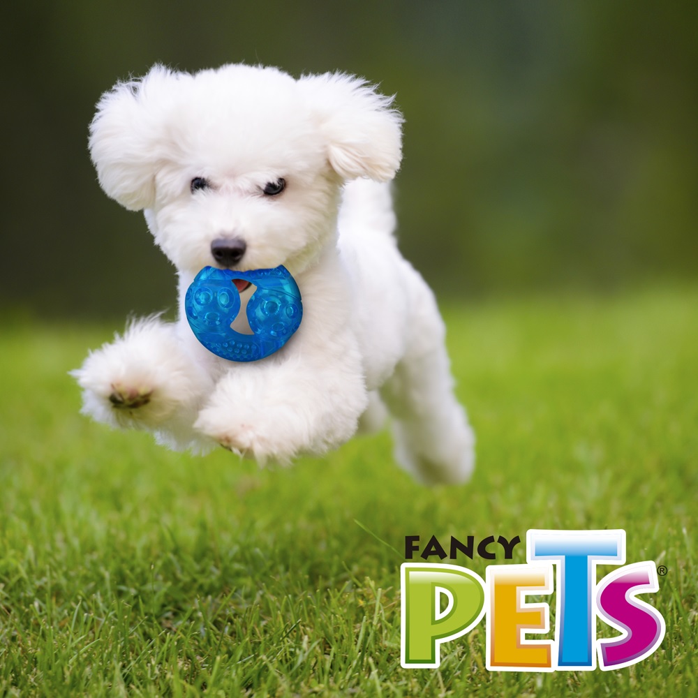 Foto 4 pulgar | Juguete para Perro de Dona Flexible Chica con Sonido Fancy Pets