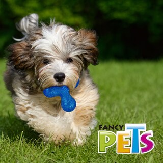Foto 3 | Juguete para Perro de Satélite Flexible Ch C/ Sonido Fancy Pets