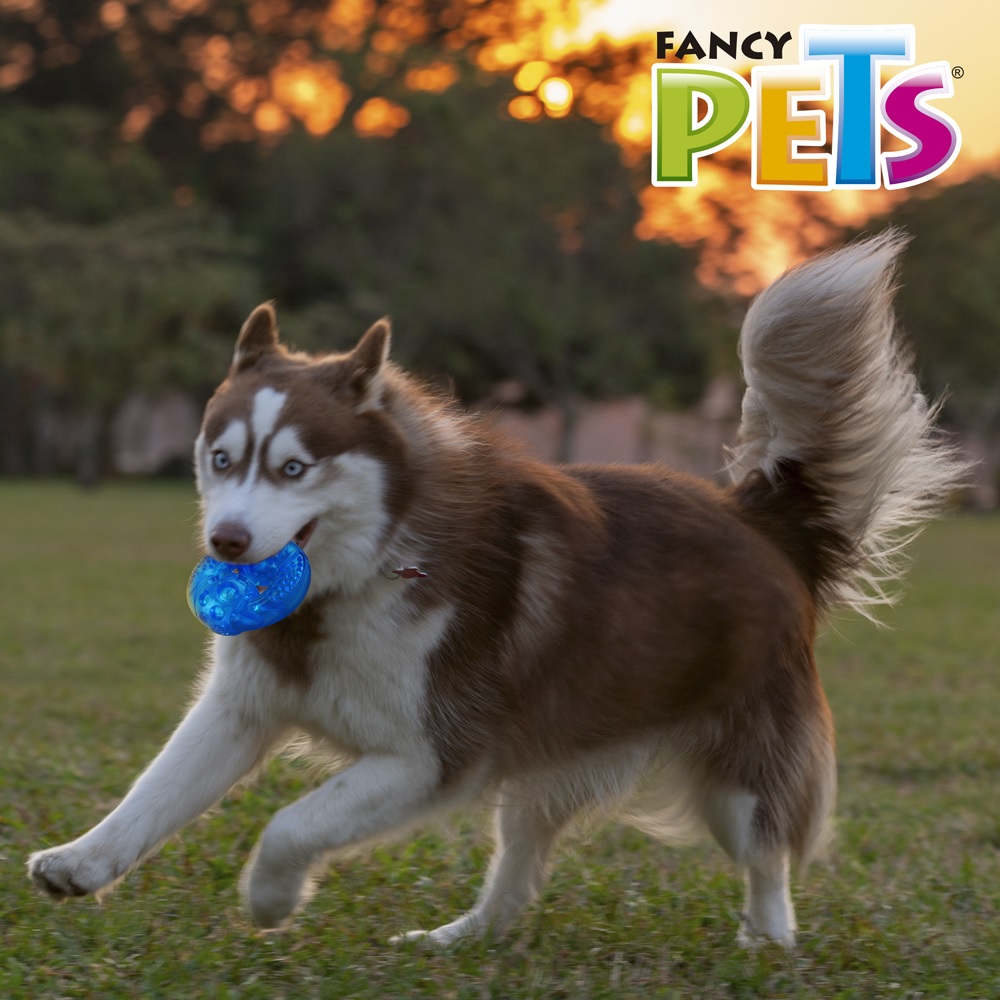 Foto 4 pulgar | Juguete para Perro Dona Flexible Grande con Sonido Fancy Pets