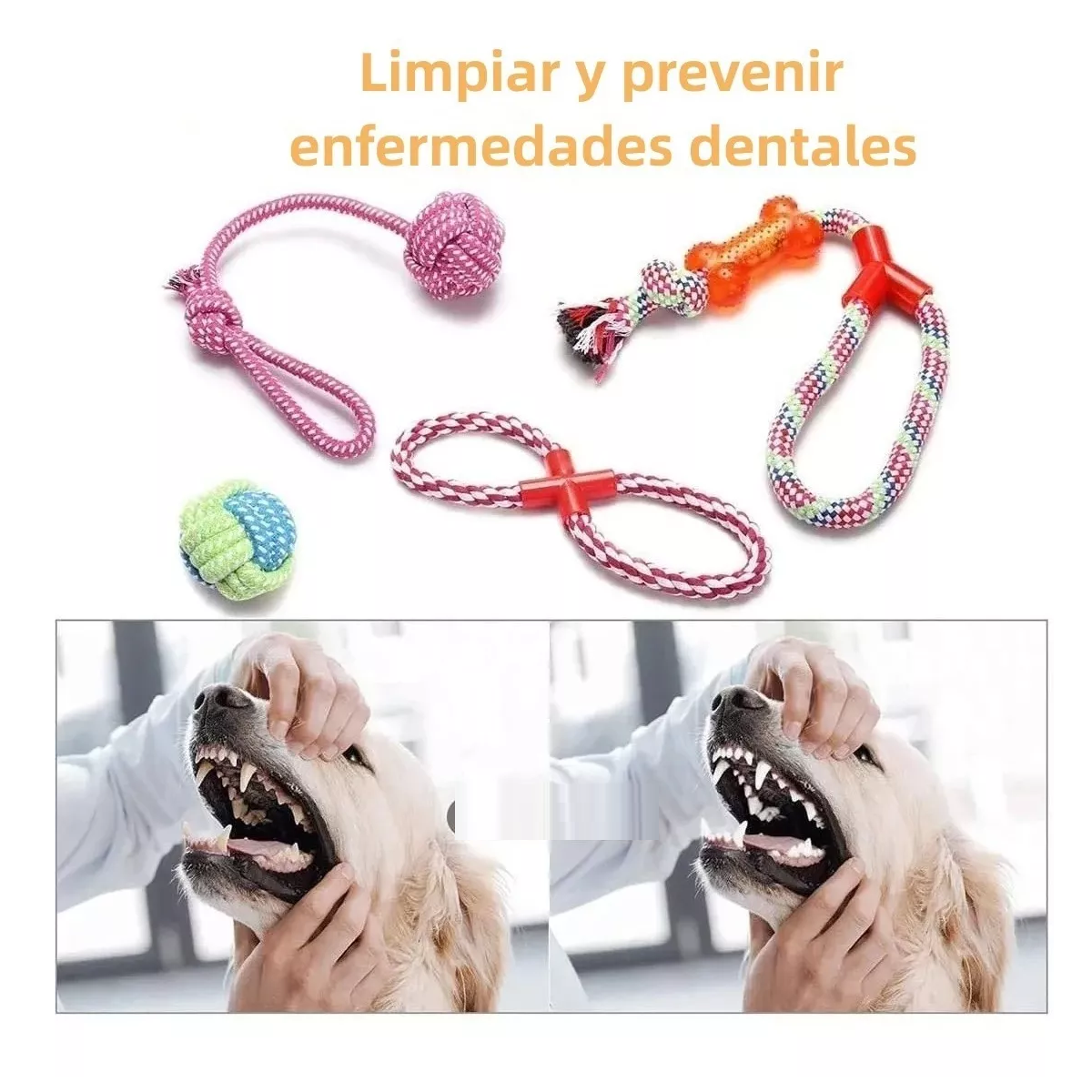 Foto 5 pulgar | Juego de Juguetes para Mascota Eo Safe Imports Esi-8845 Multicolor 12 Piezas