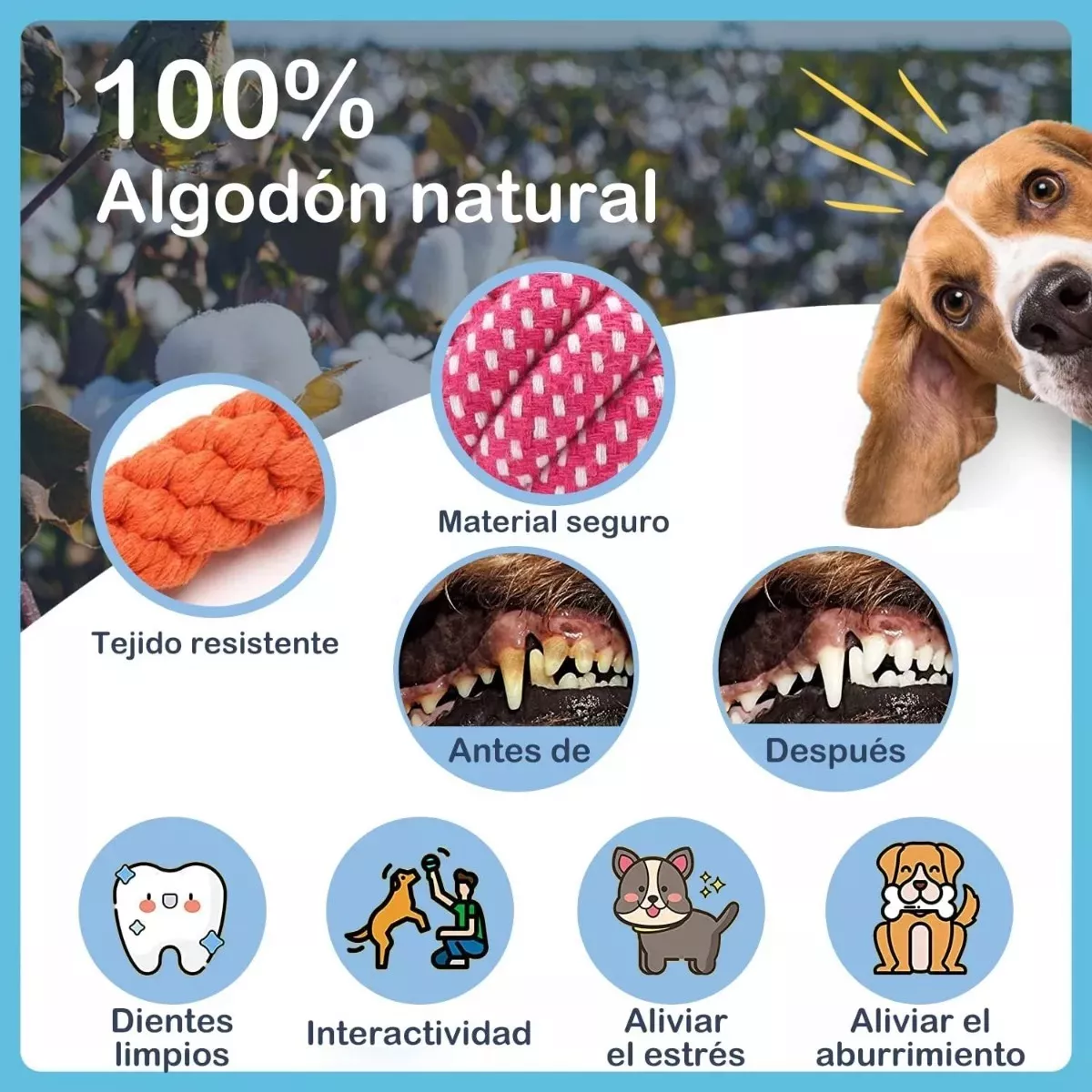Foto 4 pulgar | Juguetes para Perro Eo Safe Imports Esi-10875 Multicolor 20 Piezas