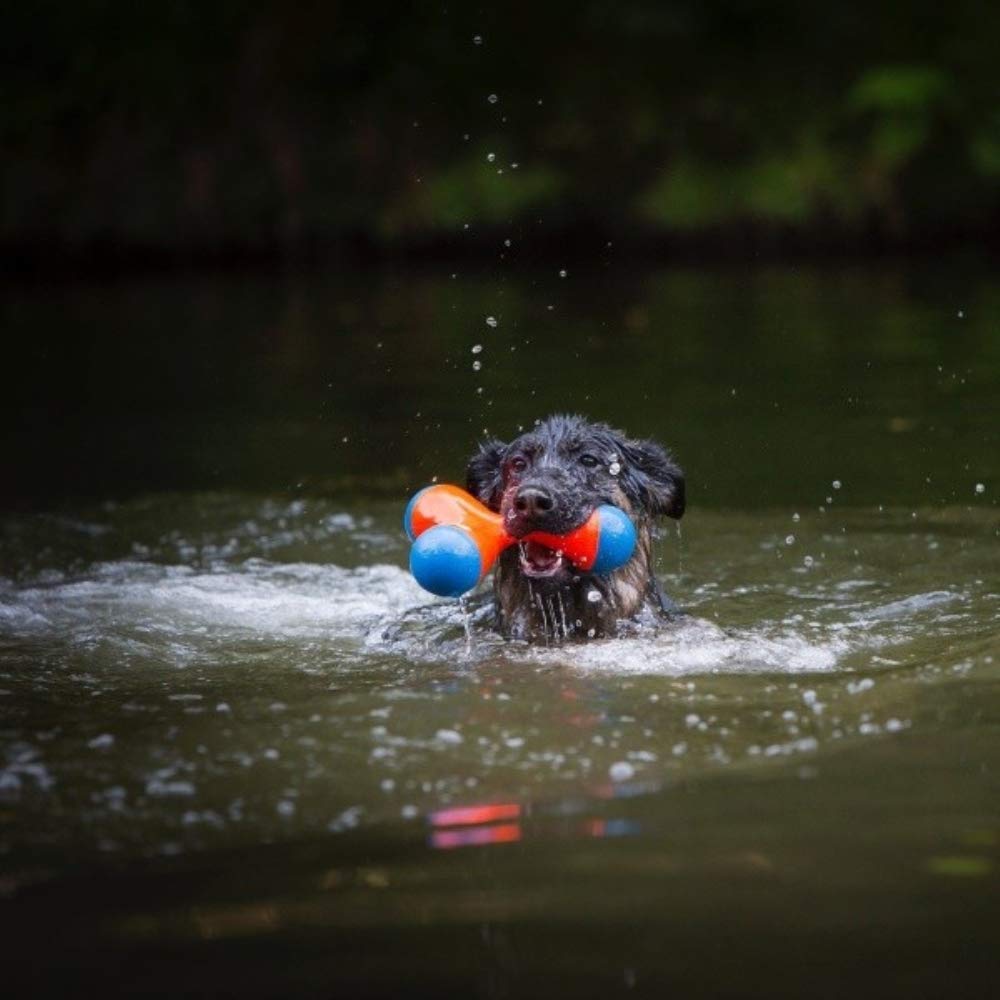 Foto 3 pulgar | Juguete Para Perros Chuckit! Amphibious Tri-bumper Fetch, Tamaño Mediano - Venta Internacional.