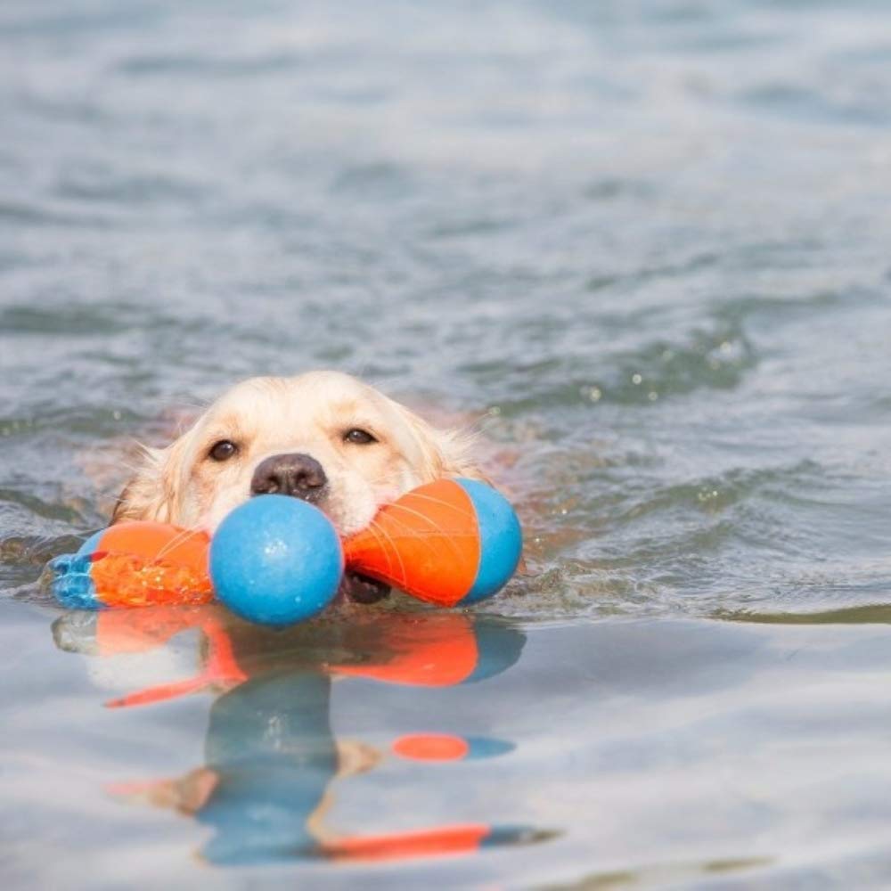 Foto 6 pulgar | Juguete Para Perros Chuckit! Amphibious Tri-bumper Fetch, Tamaño Mediano - Venta Internacional.